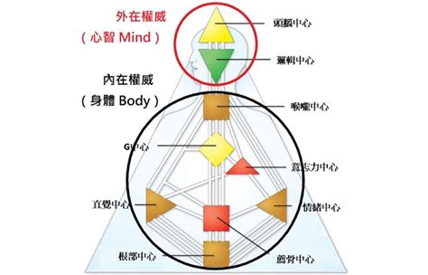 人類圖分析網站|人類圖報告